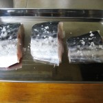 spanish mackerel, sawara