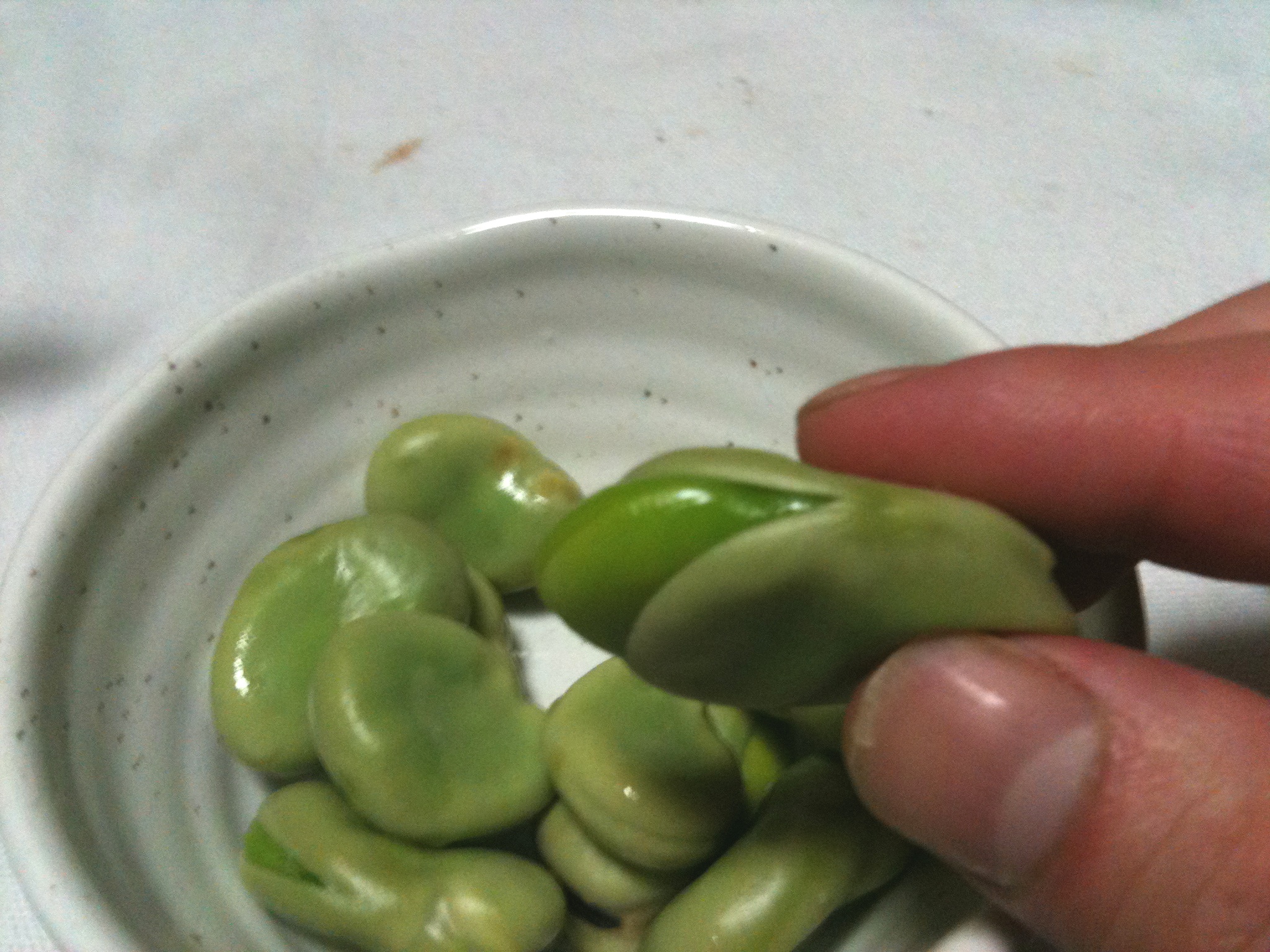 Boiled Broad Bean (Soramame) Food in Japan