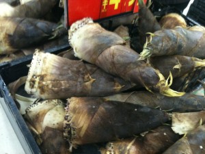 bamboo shoots, Takenoko in the market