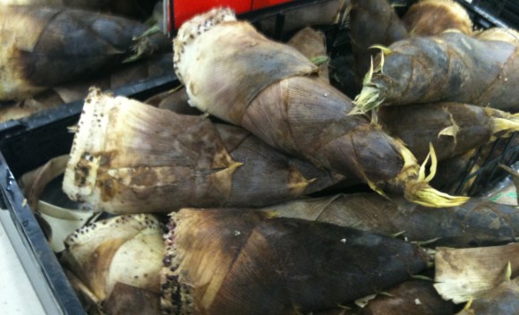 bamboo shoots, Takenoko in the market