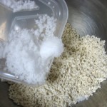 making shio koji