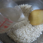 salted rice malt