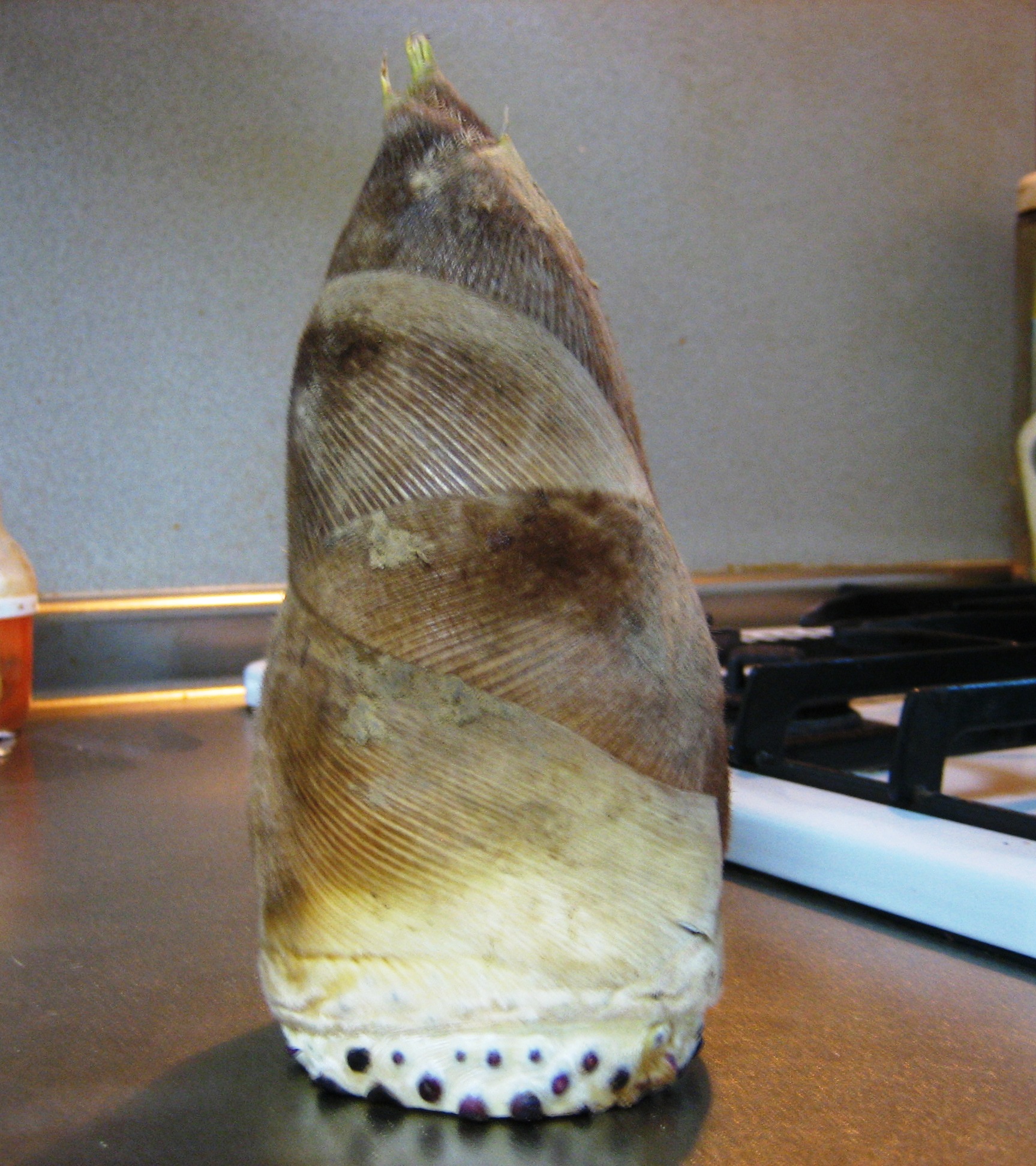 How To Boil Bamboo Shoots (Takenoko) Food in Japan