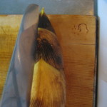 bamboo shoots