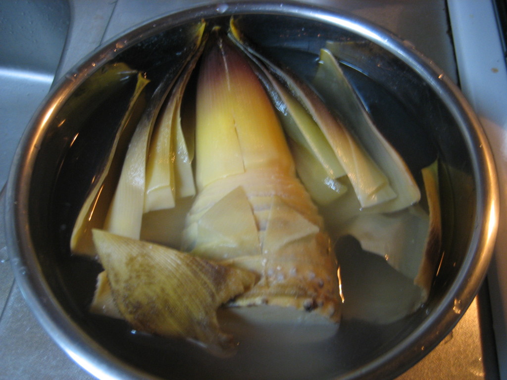 How To Boil Bamboo Shoots (Takenoko) Food in Japan