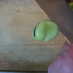 broad bean, fava bean