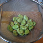 how to boil broad bean