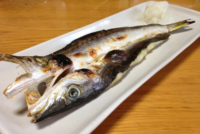 Dried fish barracuda, kamasu