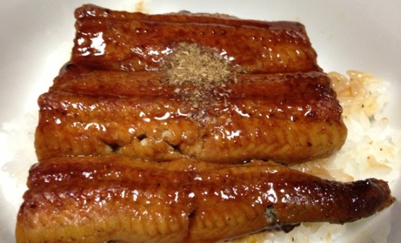 Unagi - Eel