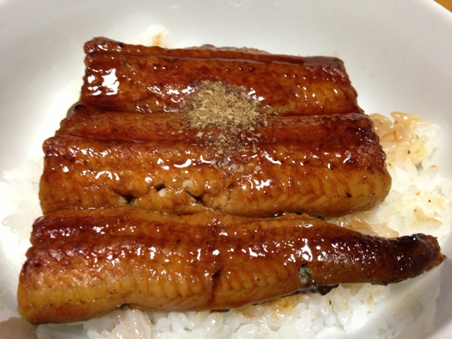 Unagi - Eel