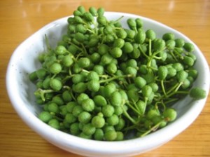 Japanese pepper, Sansho