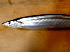 Sanma