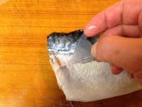 Japanese marinated mackerel
