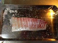 Sashimi Saku