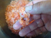 Salmon Roe