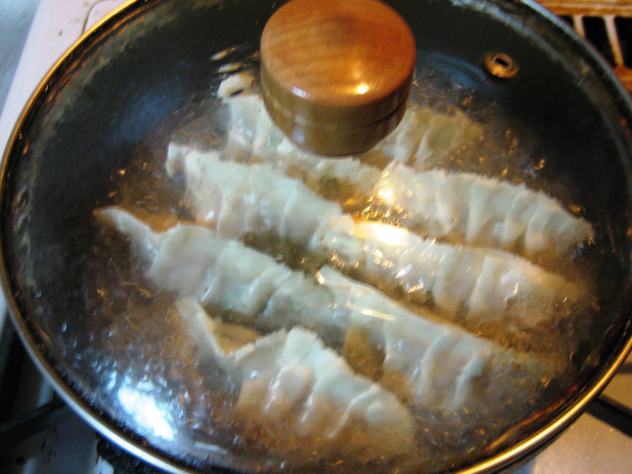 Pork Dumplings (Gyoza) Food in Japan