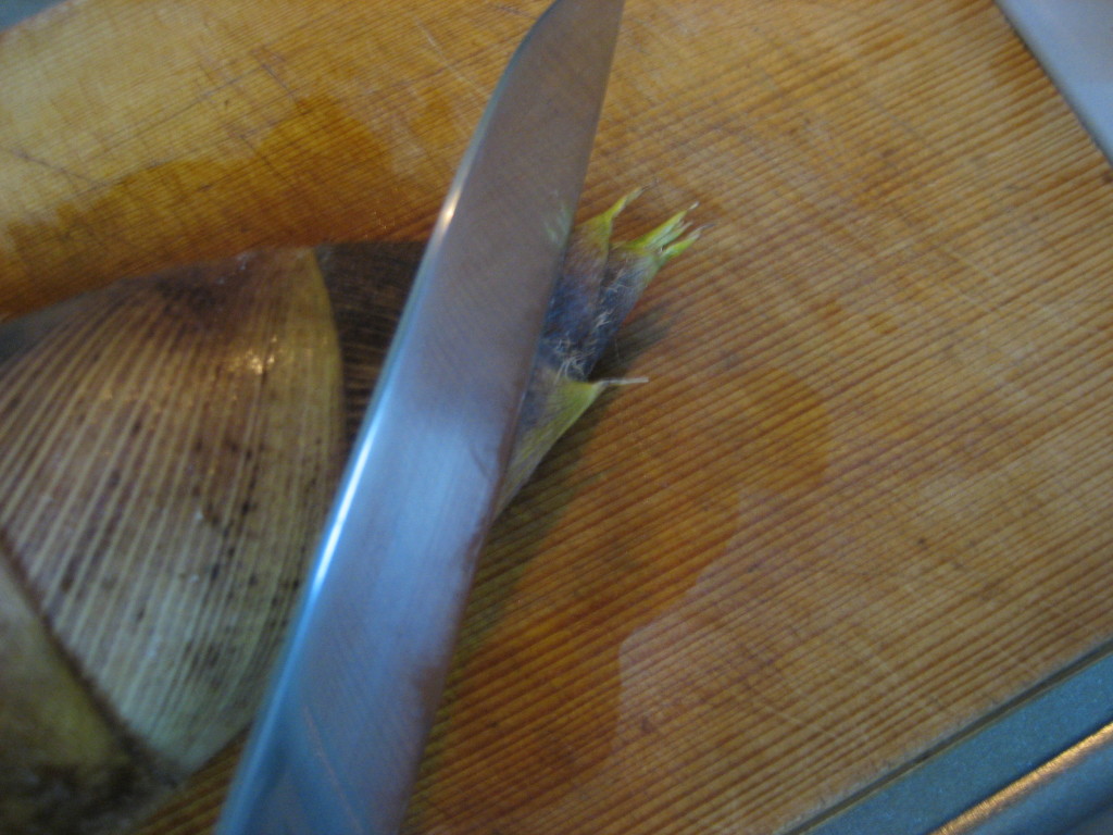 How To Boil Bamboo Shoots (Takenoko) Food in Japan