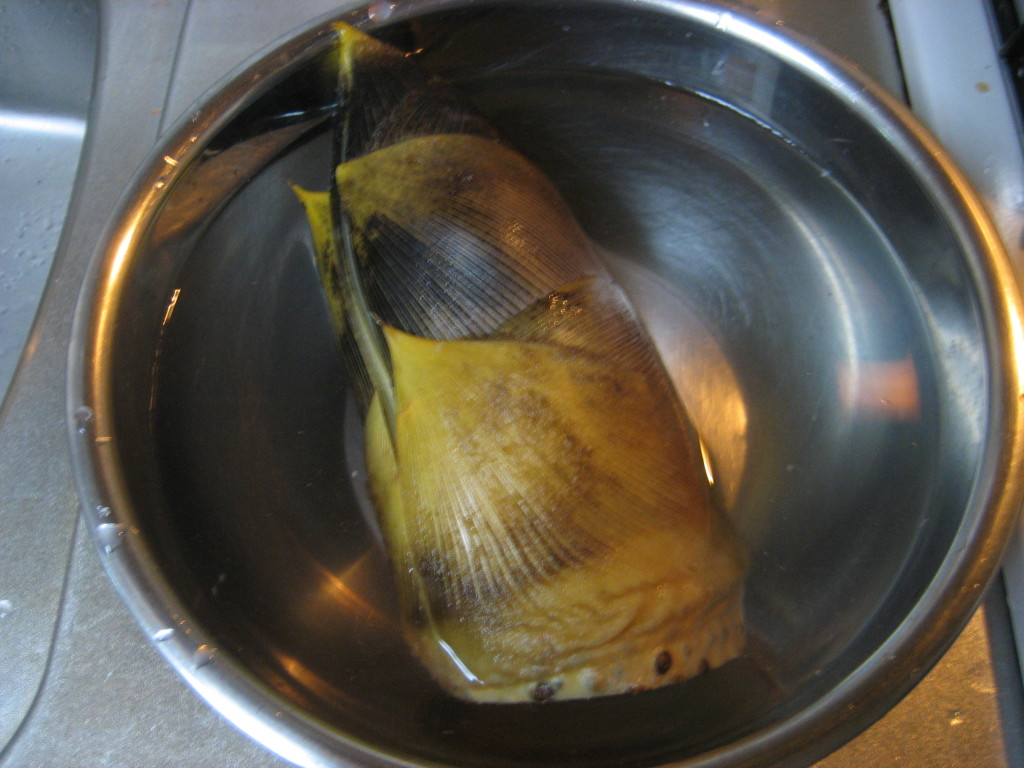 How To Boil Bamboo Shoots (Takenoko) Food in Japan